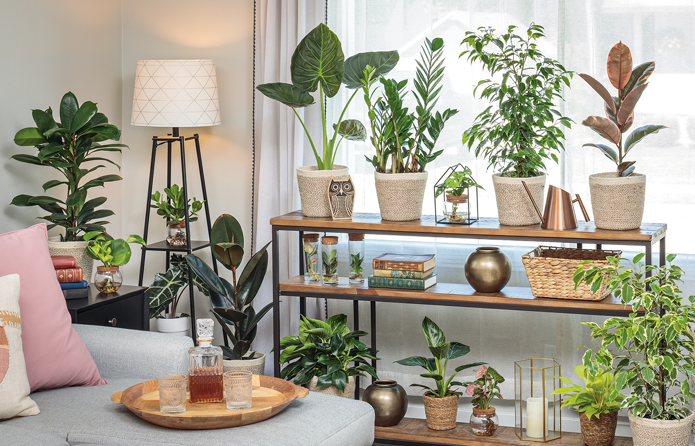 art deco house plants Art Deco™ Gothic™