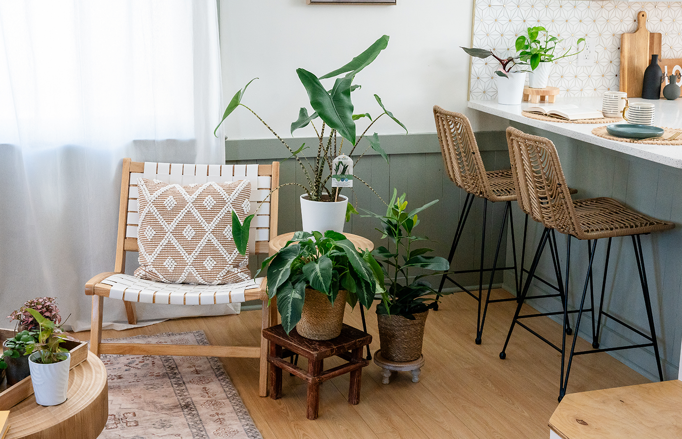 Shop by plant light needs