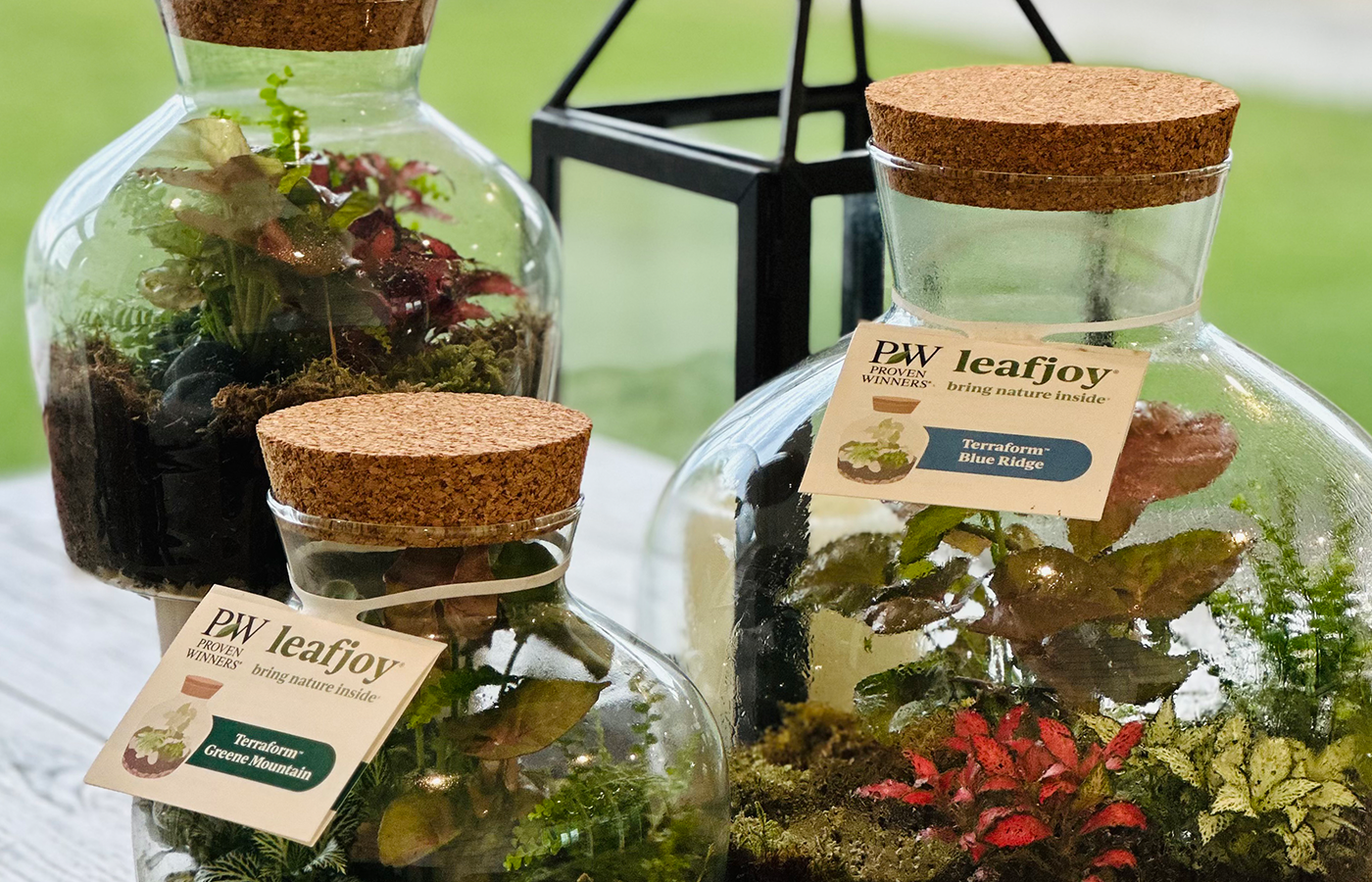 Terraform™ Terrarium