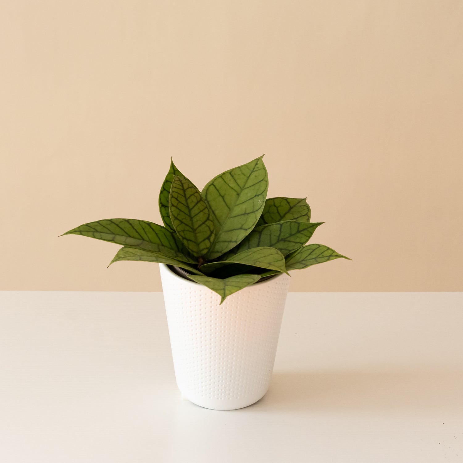 Endless Cascades® Shadow Falls™