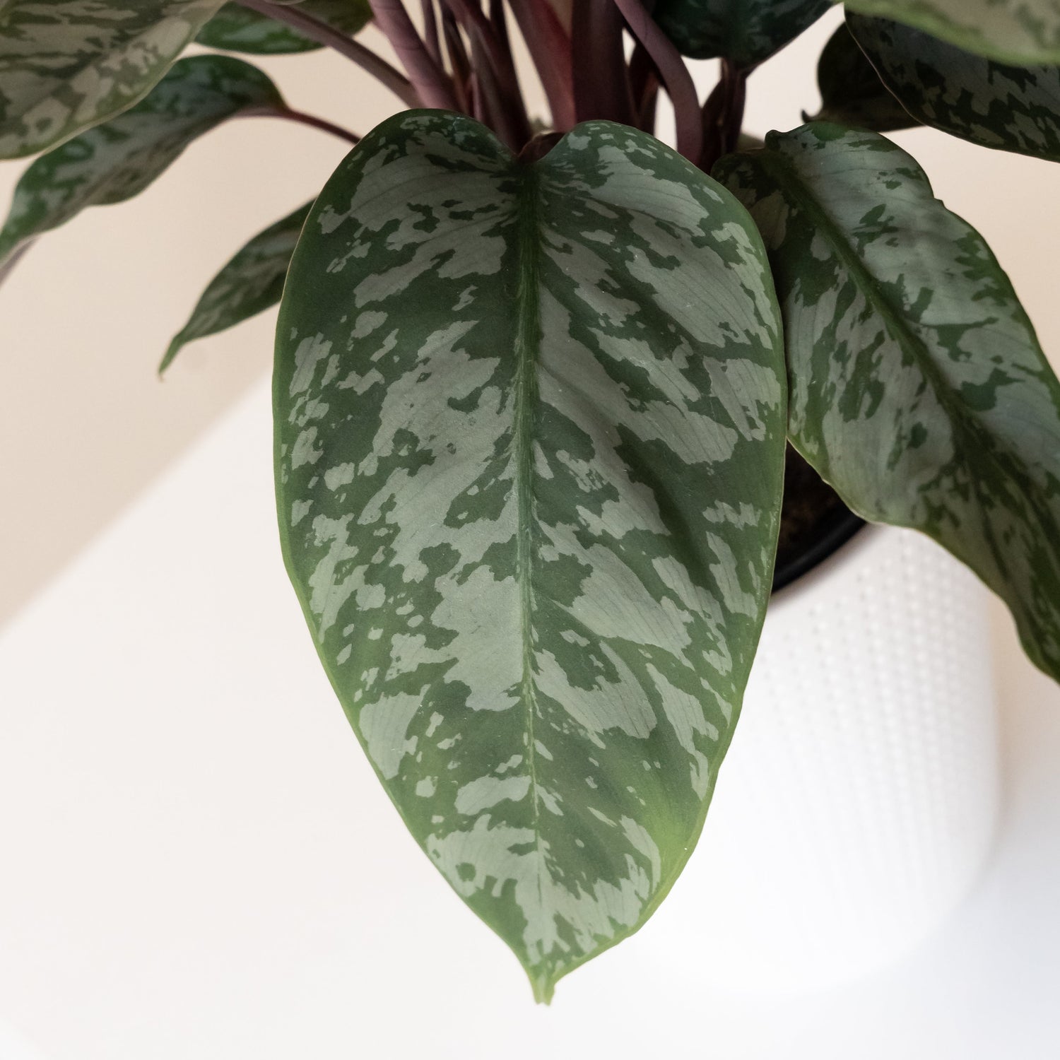 Art Deco™ Opulence™