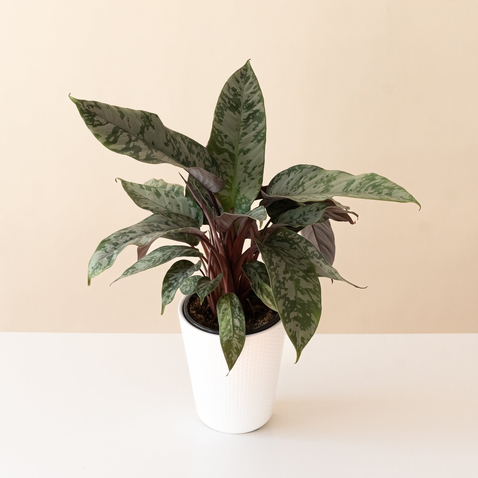 deco plante Art Deco™ Opulence™