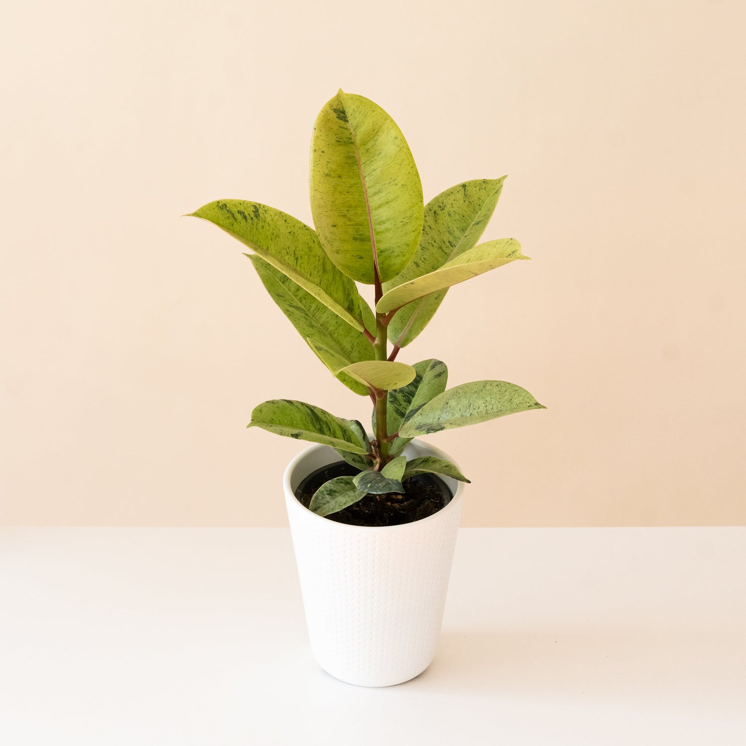 Chroma® Ghost Rider™