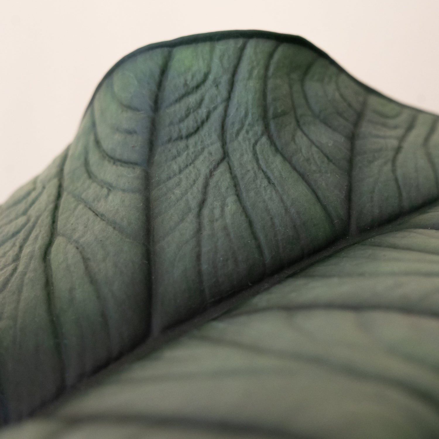 Mythic® Quicksilver™