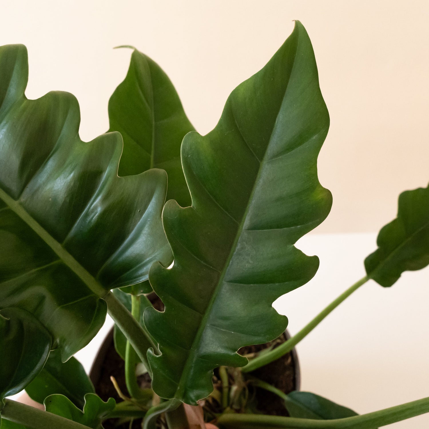 Prismacolor™ Double-edged Sword™