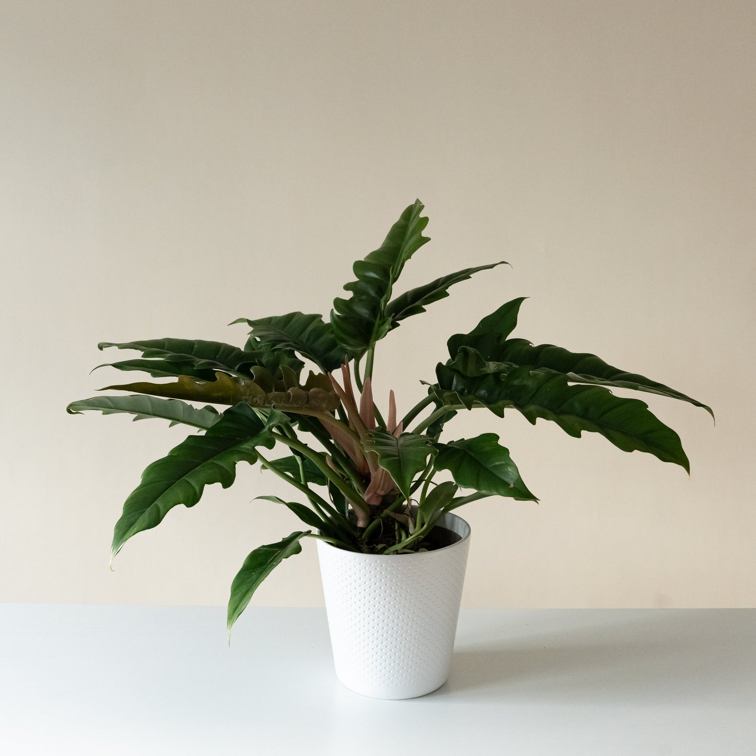 Prismacolor™ Double-edged Sword™