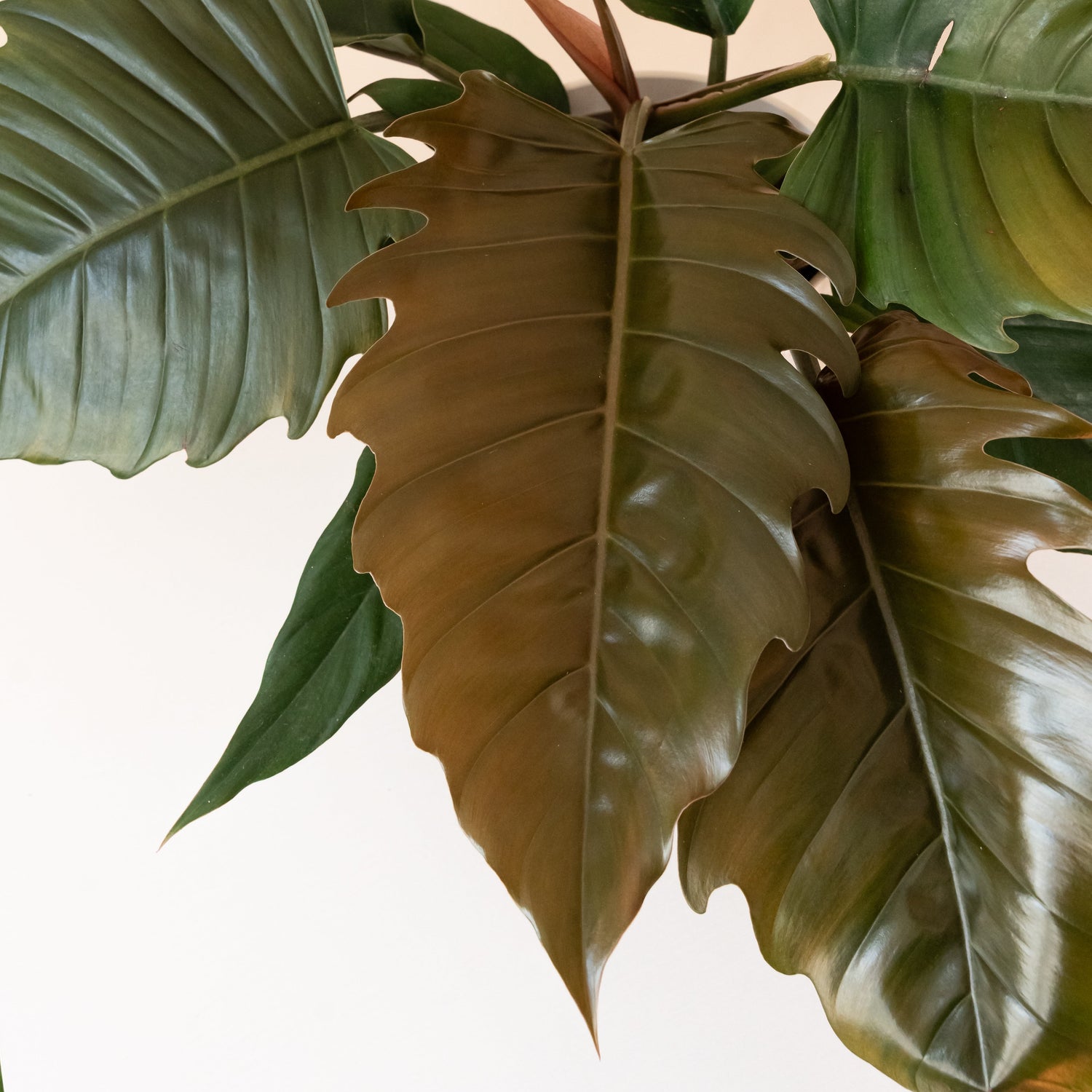 Prismacolor™ Zigzag™